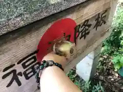 別小江神社の建物その他