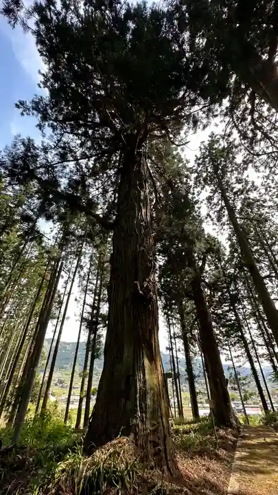 円光寺(山形県)