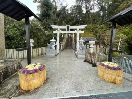 美多彌神社の鳥居