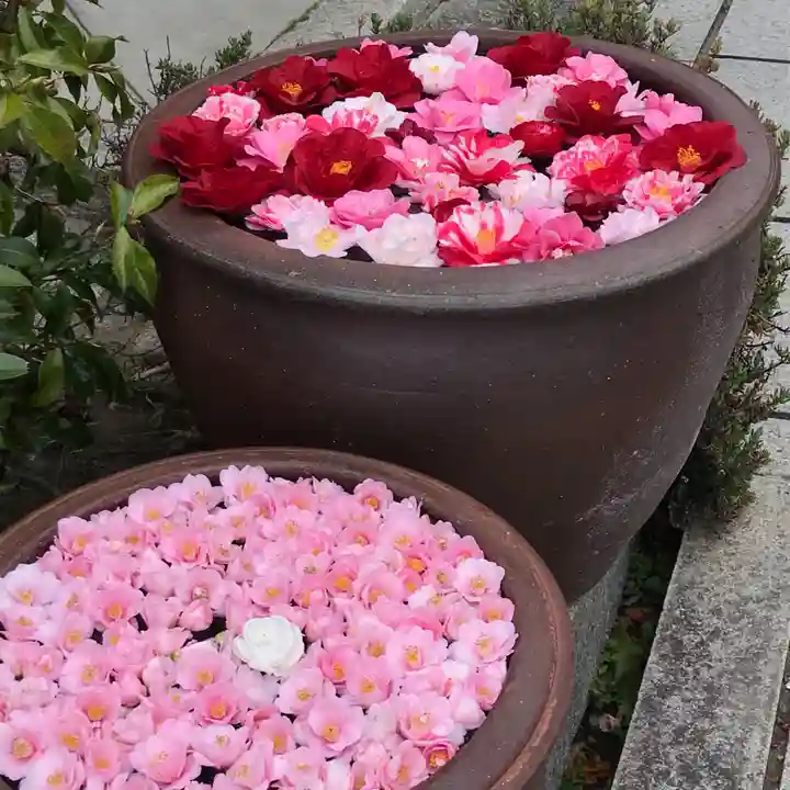 霊鑑寺門跡の手水舎