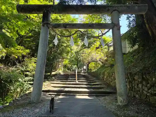唐澤山神社(栃木県)