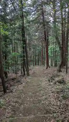 山宮神社(山梨県)
