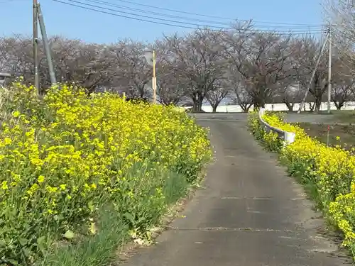 船玉神社(茨城県)