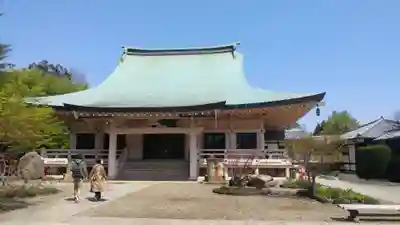 豪徳寺の本殿・本堂