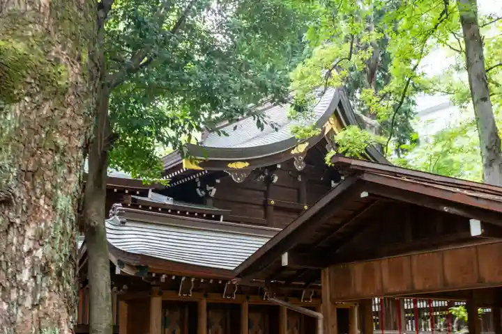 若宮八幡社(愛知県)
