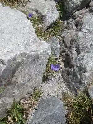 雄山神社峰本社の自然