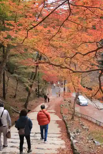 神護寺の景色