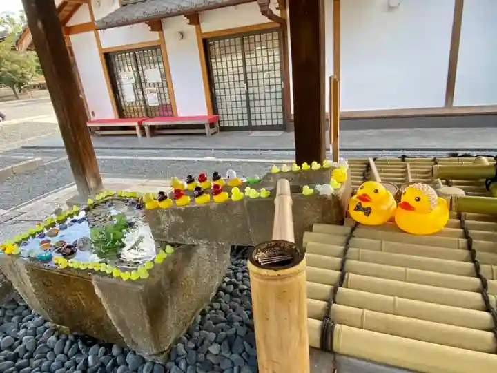 くろ谷 金戒光明寺の手水舎