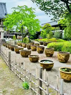 金剛院(東京都)