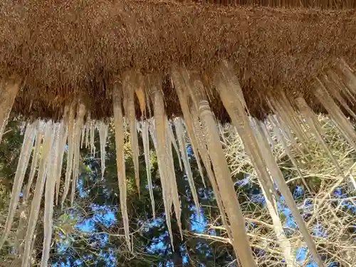 新宮熊野神社の自然