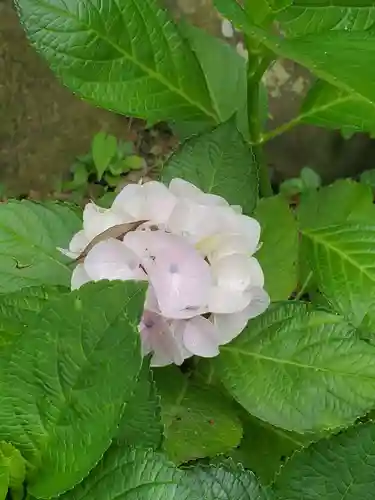 草薙神社の自然