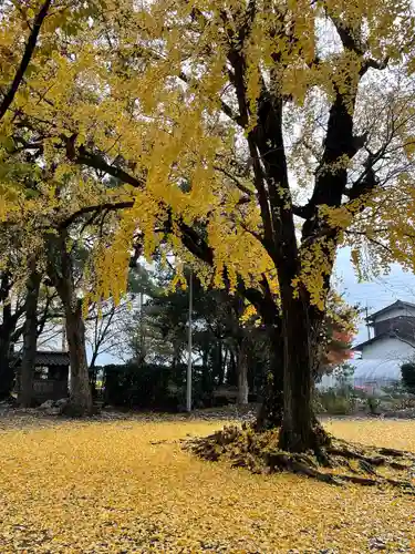 美奈宜神社の自然