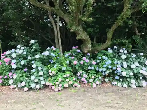 年毛神社(福岡県)