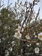 太宰府天満宮の自然