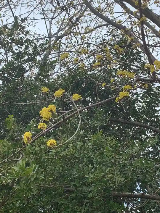 鹿嶋神社の自然