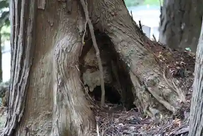 箟峯寺(宮城県)