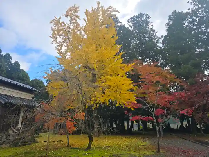 興聖寺(滋賀県)