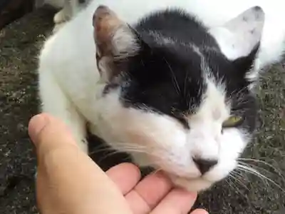 鎌数伊勢大神宮(千葉県)