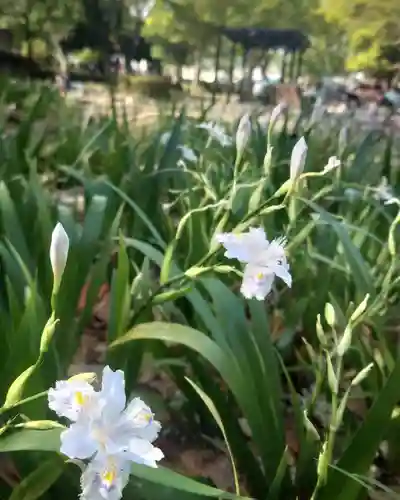 豊國神社(愛知県)