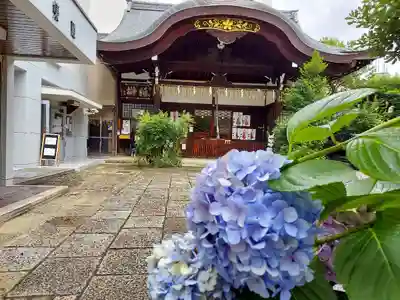 京都大神宮の本殿・本堂