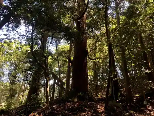 鷹鳥屋神社の庭園