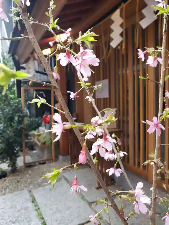 五十稲荷神社(栄寿稲荷神社)(東京都)