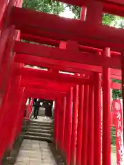 武蔵一宮氷川神社の鳥居