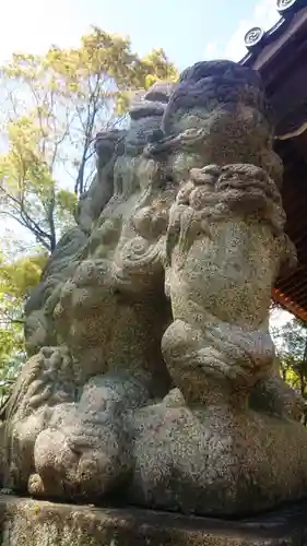 川曲神社（子生和町）の狛犬