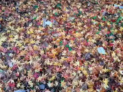 黄金山神社(宮城県)