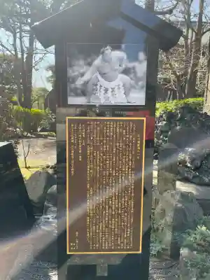 川崎大師(平間寺)の{uncategorized: "未分類", other: "その他", undefined: "問題あり", building: "その他建物", grave: "お墓", sacred_gate: "鳥居", guardian: "狛犬", statue: "像", buddha: "仏像", history: "歴史", nature: "自然", garden: "庭園", animal: "動物", pagoda: "塔", temizu: "手水舎", mountain_gate: "山門・神門", sanctuary: "本殿・本堂", subordinate: "末社・摂社", art: "芸術", scenery: "景色", jizo: "地蔵", ema: "絵馬", goshuin: "御朱印", omikuji: "おみくじ", items: "授与品その他", amulet: "お守り", goshuincho: "御朱印帳", eats: "食事", festival: "お祭り", votive_dance: "神楽", shichigosan: "七五三参", wedding: "結婚式", experience: "体験その他", initially: "初詣", around: "周辺", anti_infection: "感染症対策"}