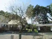 伊奈沢天神社(東京都)