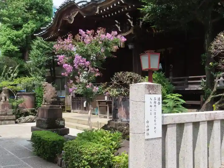 白山神社(東京都)