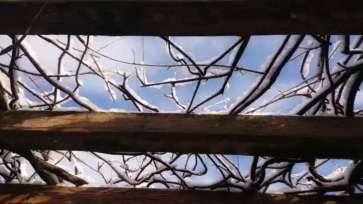 尾張大國霊神社(国府宮)の自然