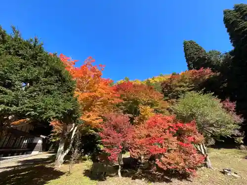 霊松寺の自然