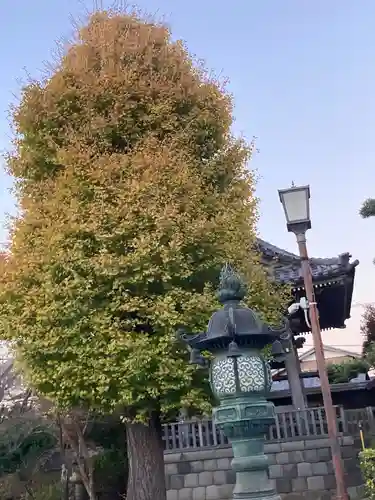 本覚寺(神奈川県)