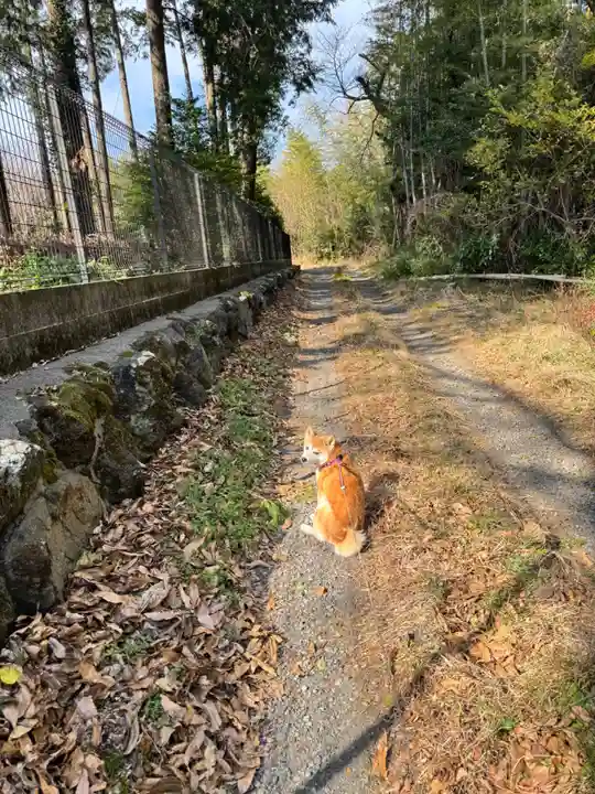 神祇大社(静岡県)