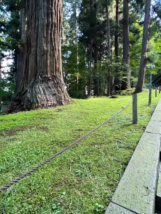 中尊寺金色堂(岩手県)