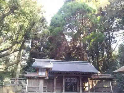 狭野神社の山門・神門