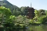 瑠璃光寺(山口県)