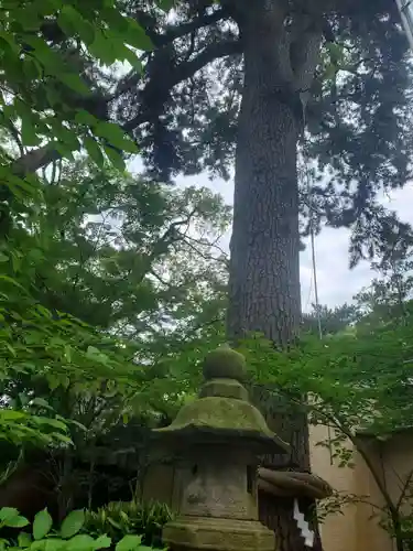 宗像神社のその他建物