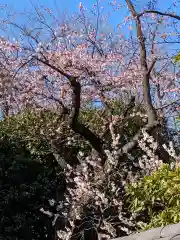 長徳寺(東京都)