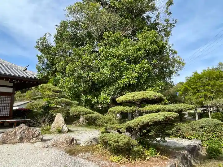 印空寺(京都府)