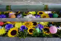 豊景神社の手水舎