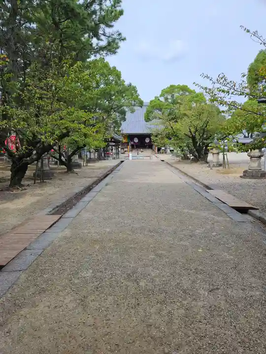大樹寺(松安院大樹寺)(愛知県)