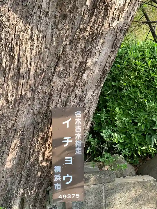 横浜 西方寺の自然