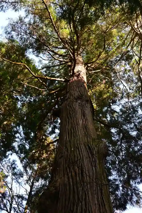 槵觸神社(宮崎県)