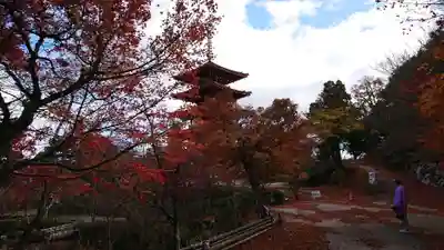 成相寺のその他建物