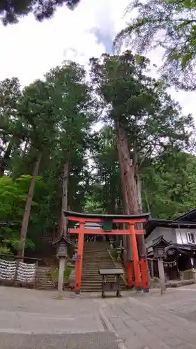 日枝神社の鳥居