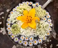 真言宗 善通寺派 薬王寺(香川県)