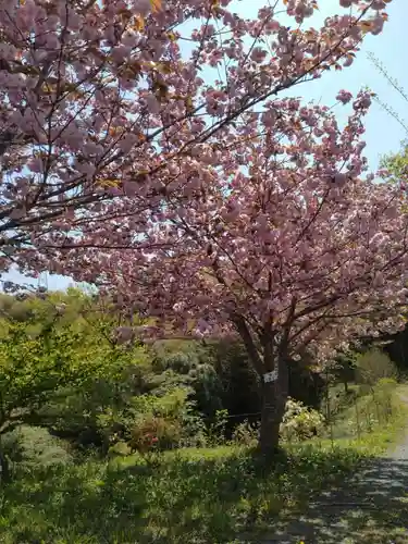 妙立寺(宮城県)